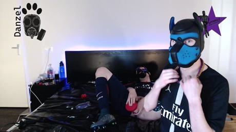 DANZEL_PUP  12-02-2022